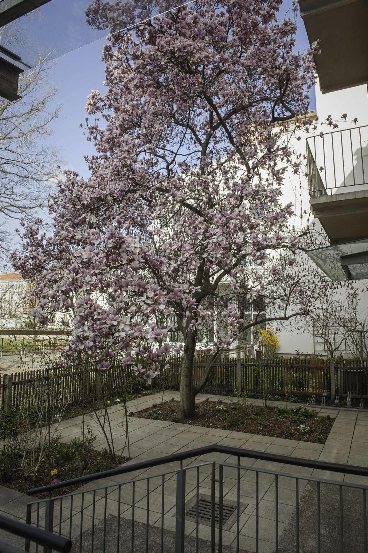 Haus Mobene - Hotel Garni Graz Extérieur photo